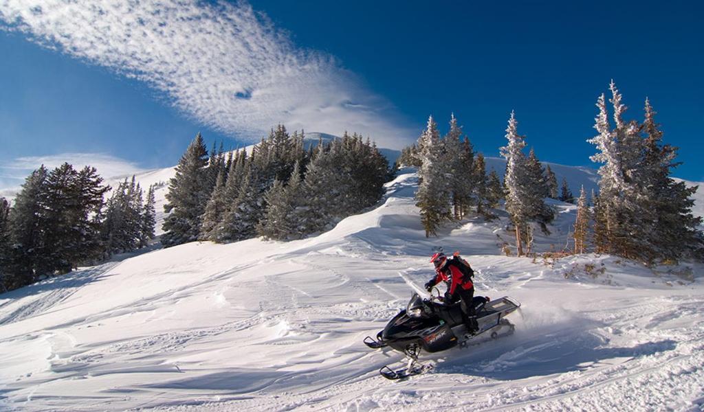 Lily Mountain Lodge - Amazing Mountains Views, Private Hot Tub, Great Location Estes Park Bagian luar foto